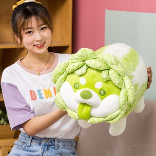 Gấu bông chó shiba bắp cải Vegetable Fairy siêu dễ thương kích thước 30-50-60cm NEOCI