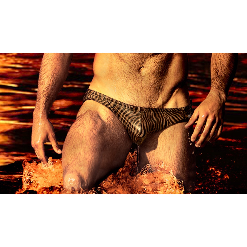 Quần Đùi Bơi A001 Họa Tiết Động Vật Thời Trang Dành Cho Nam | BigBuy360 - bigbuy360.vn