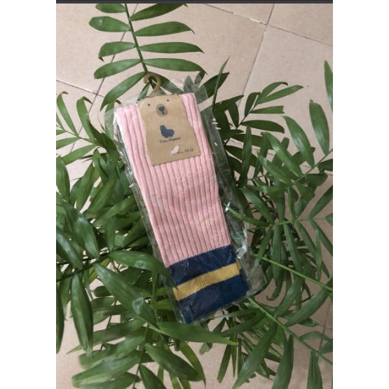 Set 5 Đôi Tất Len Cao Cổ Đến Bắp Chân Cho Bé Gái Hay Mặc Váy Từ 5 Đến 10 Tuổi