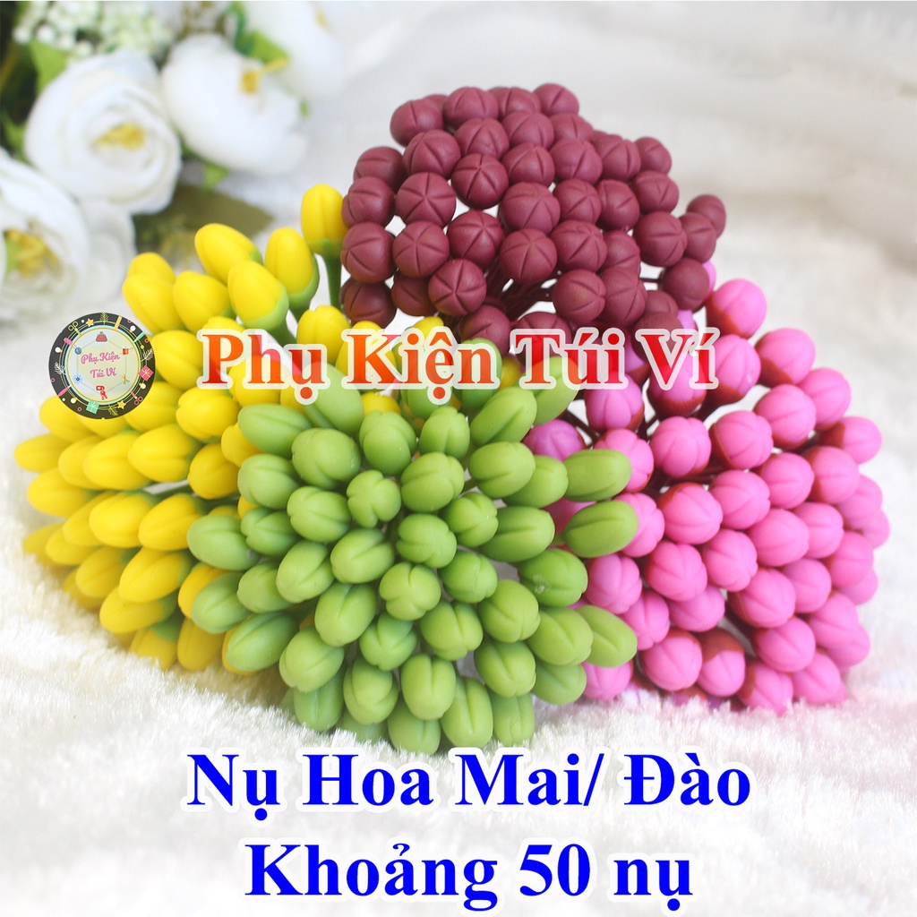 Nụ hoa mai/ đào