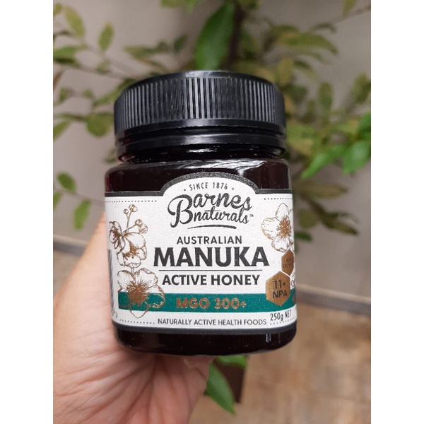 🐝🐝🐝Mật ong hoa Manuka Barnes Naturals 300+ MGO 250g của Úc