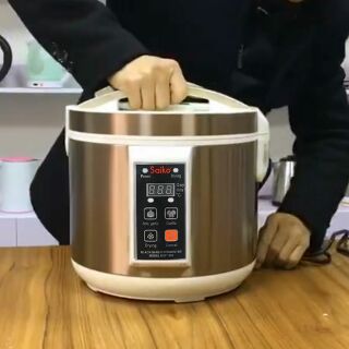 MÁY LÀM TỎI ĐEN SAIKO BGF-900