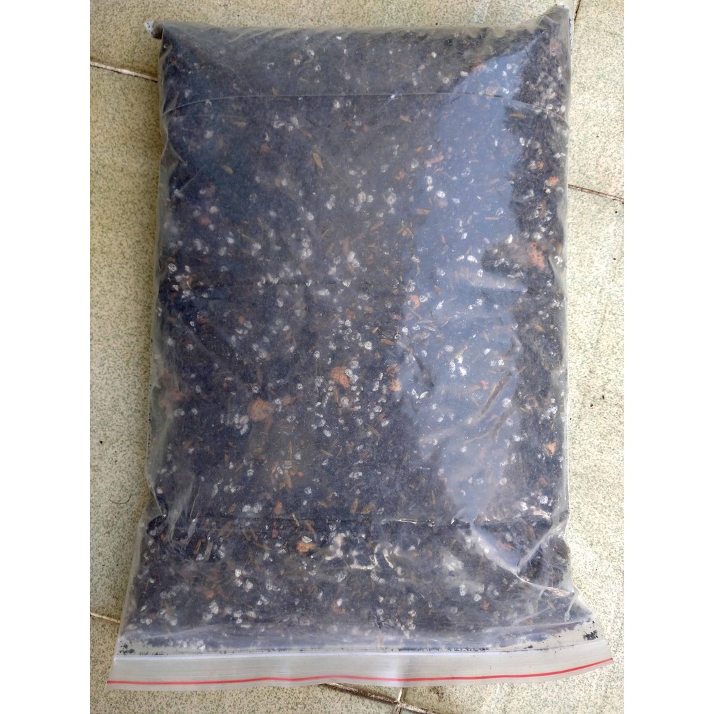 Đất trồng sen đá xương rồng 1kg