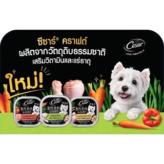 🇹🇭 16 Vị Pate Cesar Thức Ăn Ướt Cho Chó Lớn & Chó Con 100G