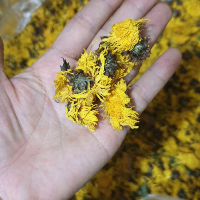 1KG HOA CÚC VÀNG