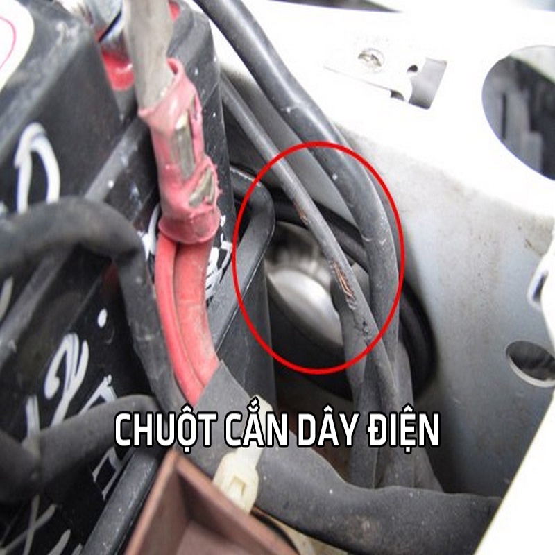 Chai Xịt Chống Chuột Ô Tô Bảo Vệ Động Cơ Và Dây Điện An Toàn Hiệu Quả Dung Tích 240ML