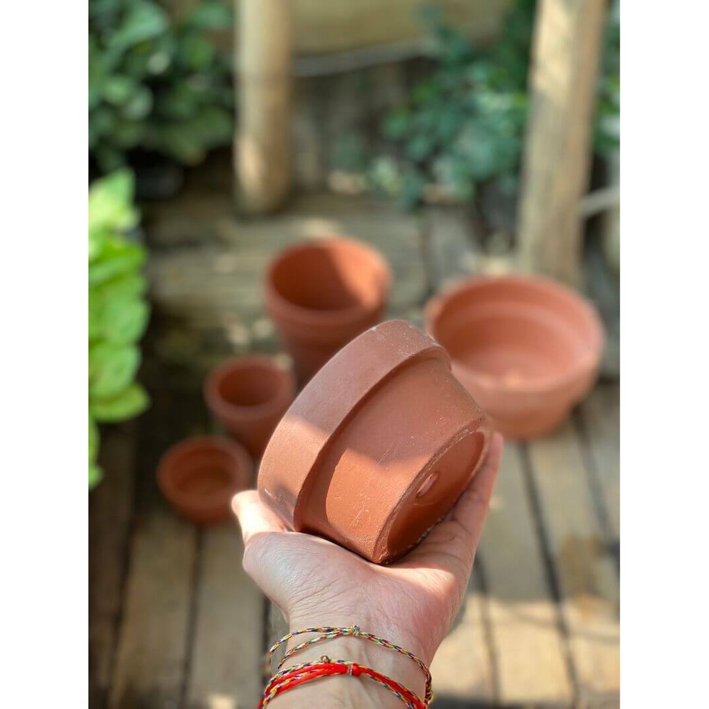 Chậu đất nung trồng cây cảnh, Bonsai Terracotta pots BatTrang (Trắng, Nâu, Cao, Thấp) hàng Bát Tràng