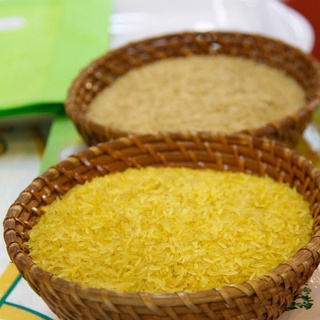 Gạo mầm Vibigaba 500gr & 1kg