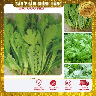 Bộ gói hạt giống Cải cúc Tẻ