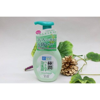 Sữa rửa mặt Hadalabo tạo bọt xanh cho da dầu 160ml