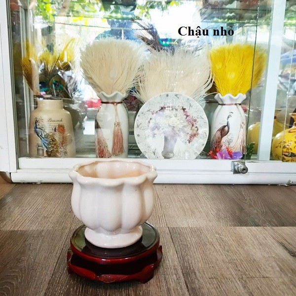 Chậu Gốm Sứ Tỏi Vành Hoa 🌷( trồng sen đá, xương rồng,cắm hoa vải,hoa giả..)