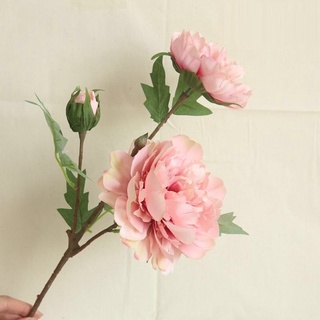 Hồng carey, hoa lụa, hoa giả cao cấp, Đồ decor phòng ngủ phòng khách, trang trí nhà cửa 14.9.3