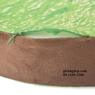 Gối 3D trái cây trái Kiwi