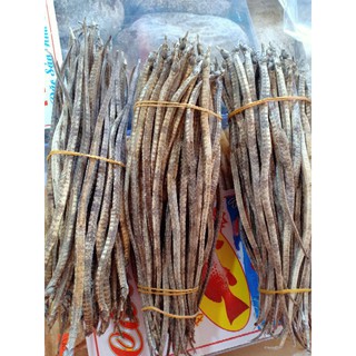 10 Con Hải long khô ngâm rượu -( Rồng biển khô)