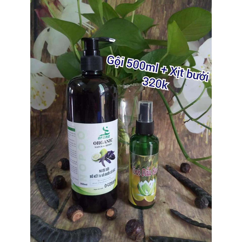 COMBO GỘI 500ML+XỊT BƯỞI 100ML