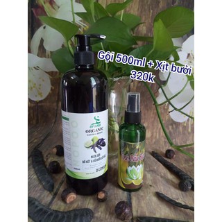 COMBO GỘI 500ML+XỊT BƯỞI 100ML