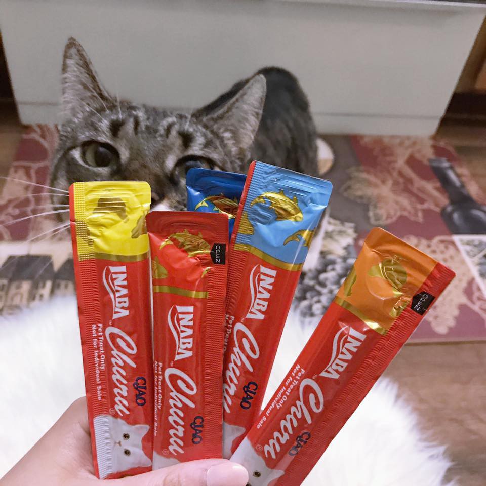 Đồ Ăn Thưởng Cho Mèo Ciao Churu Dạng Soup