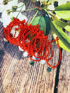 Chỉ đỏ bạc cỏ 4 lá