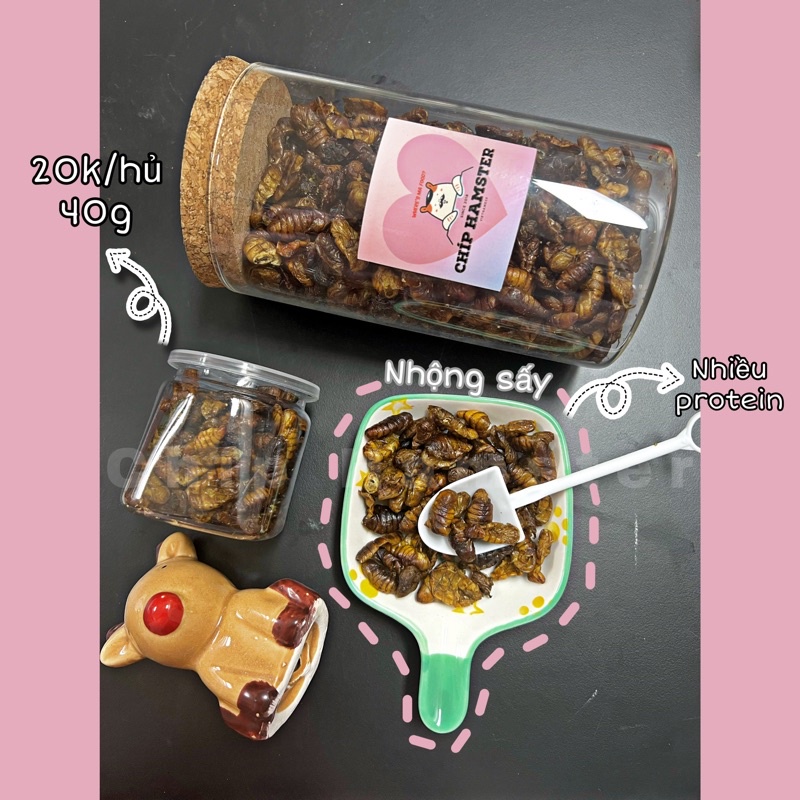 Nhộng sấy &lt;Hamster/Rat/Sóc/Mice&gt;