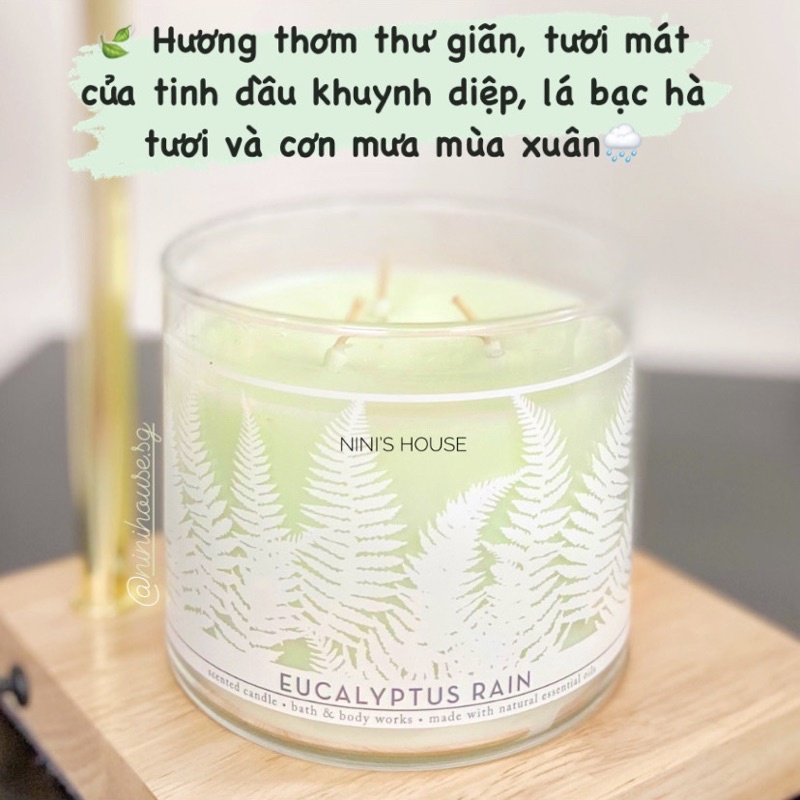 Nến thơm 3 bấc Bath and Body Works mùi Eucalyptus Rain