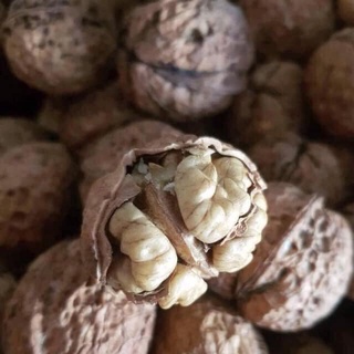 500g Quả Óc Chó Nếp Hà Giang
