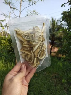 Vỏ bưởi sấy dẻo ( giòn ) nhà làm