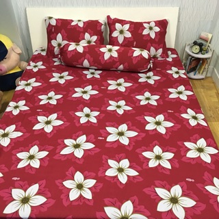Drap thun Hàn Quốc