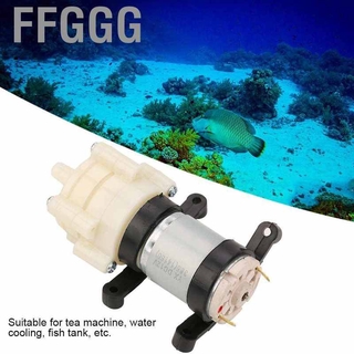Máy Bơm Nước Mini Dc 12v
