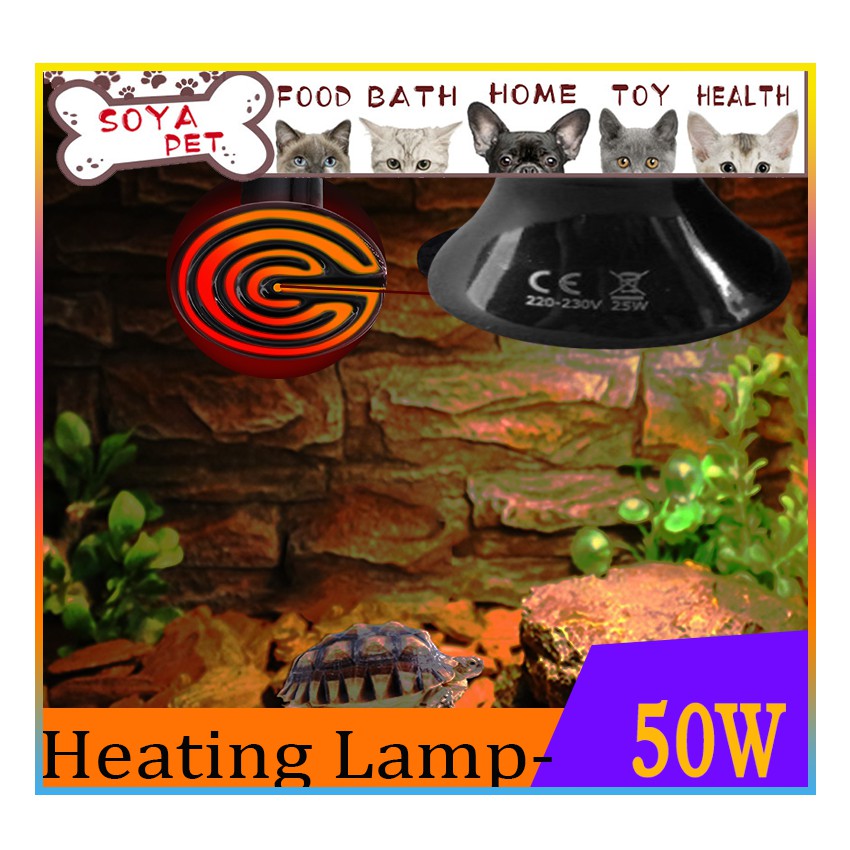 220V 50W Bóng Đèn Sưởi sứ Ấm uvb cho rùa các loài bò rắn thằn lằn bò sát Thú Cưng bể cá