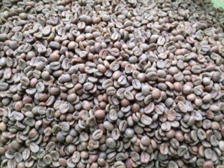 Cà phê nhân xanh Sơn La (Honey process)