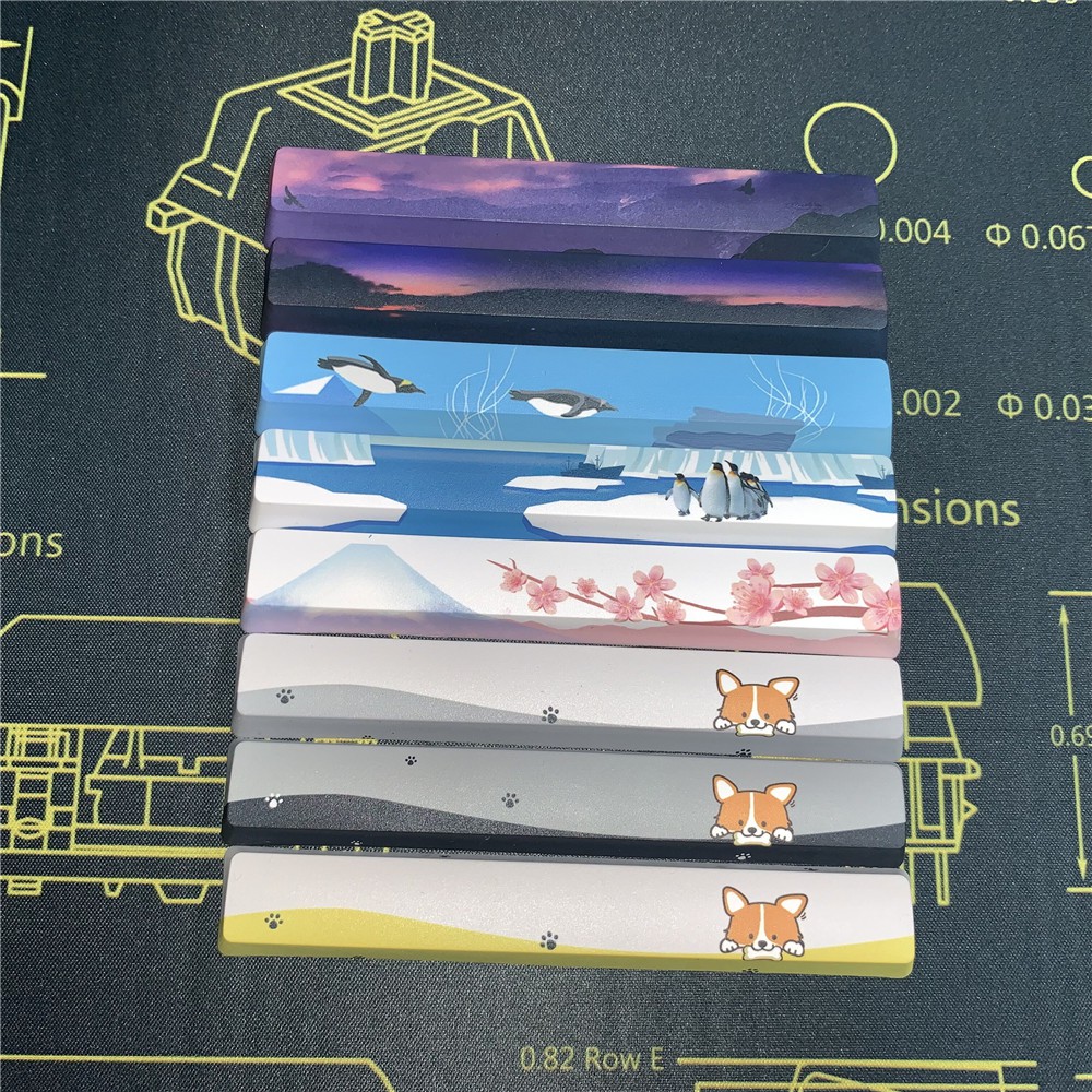 Nút Bấm Bàn Phím Cơ Pbt Oem In Hình Hoa Anh Đào Xinh Xắn