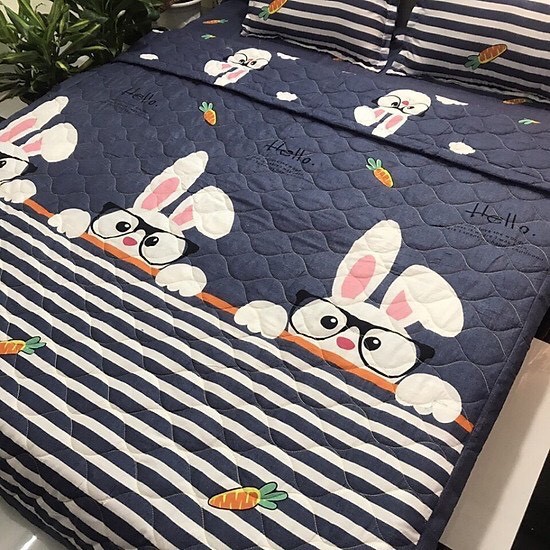 Sét Chăn hè ga gối Cotton Poly Emmidecor Mẫu Thỏ xám