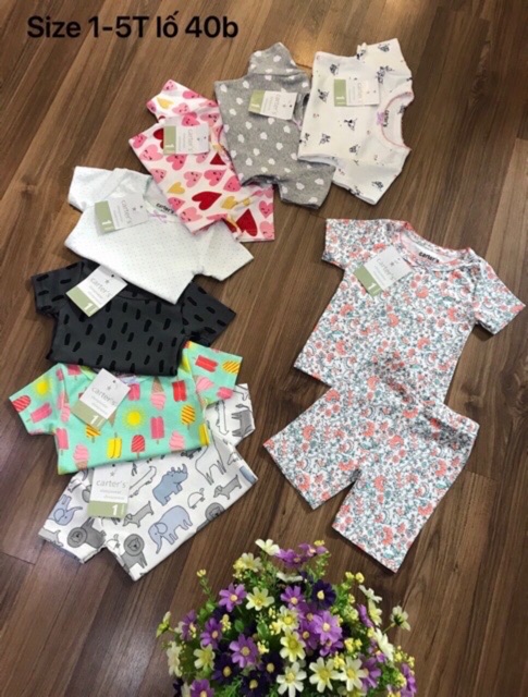 Combo 9 áo carter cho bé