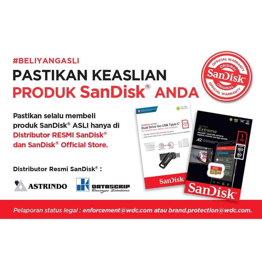 Áo Thun In Hình Sandisk Cruzer Blade 8gb Cz50 Cá Tính