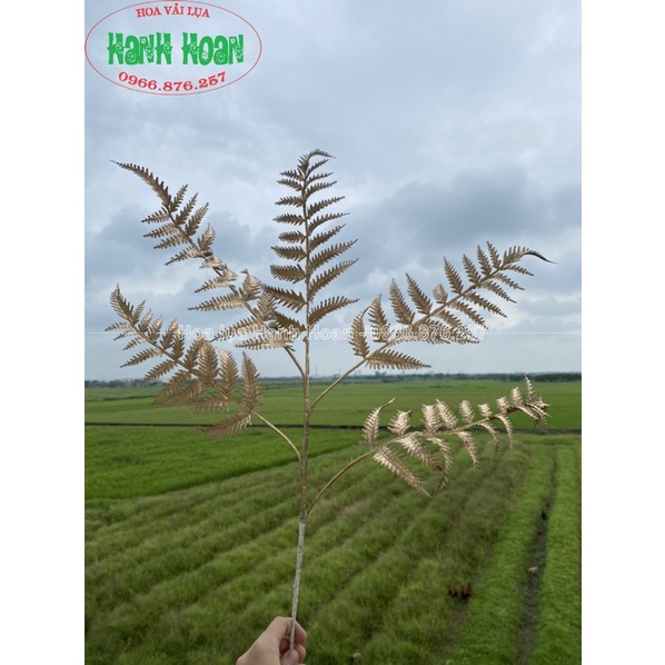Cành lá dương xỉ nhựa 5 nhánh 75cm đủ màu -Lá giả decor