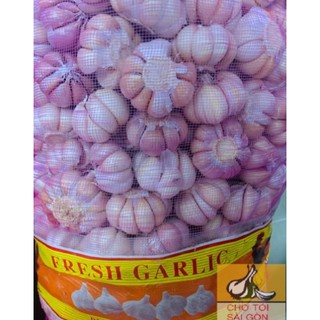 [TỎI CỦ TO ĐẸP- HÌNH THẬT] Tỏi củ 500g -1kg
