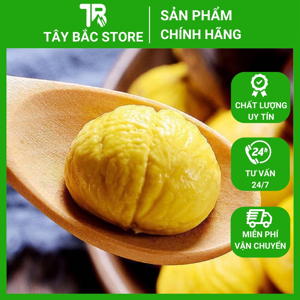 Hạt Dẻ Tươi Cao Bằng (Cơm Vàng) Túi 1Kg Bở Bùi Hàng Gửi Từ Cao Bằng (Chưa Khứa)