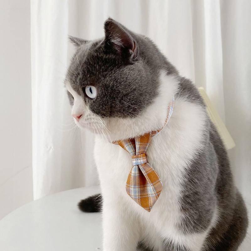 Vòng Cổ Thú Cưng Gắn Chuông Không Có Chuông Phong Cách Anh