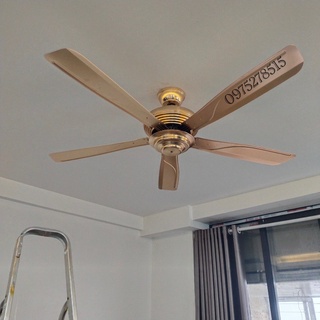 [Hàng Loại I - Động Cơ 6 SỐ] Quạt Trần Không Đèn CERATA Cánh Thép, 6 Cấp Độ Gió, Đường Kính 1m32 và 1m42  [BH 5 Năm]