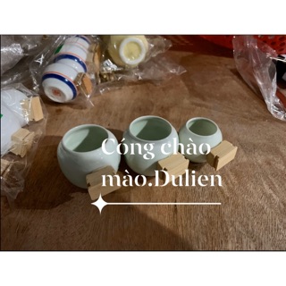 CÓNG CHIM CHÀO MÀO MÀU XANH
