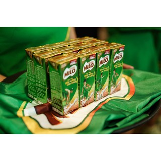1 vỉ sữa Milo cho bữa sáng