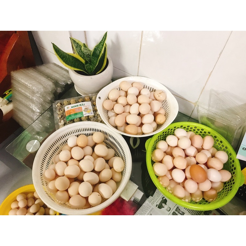 COMBO 1 VỈ TRỨNG GÀ TA CON SO ( 10 TRỨNG )