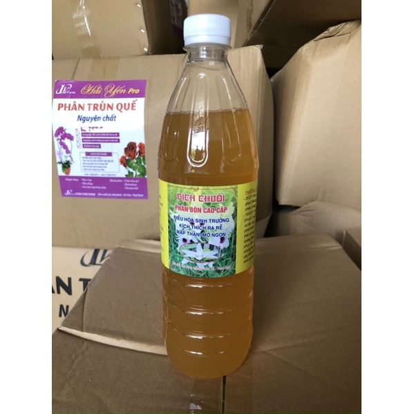Dịch chuối- phân bón cao cấp chai 1 lít