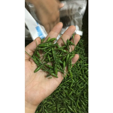 Ớt Gió Đồng Văn xóc muối