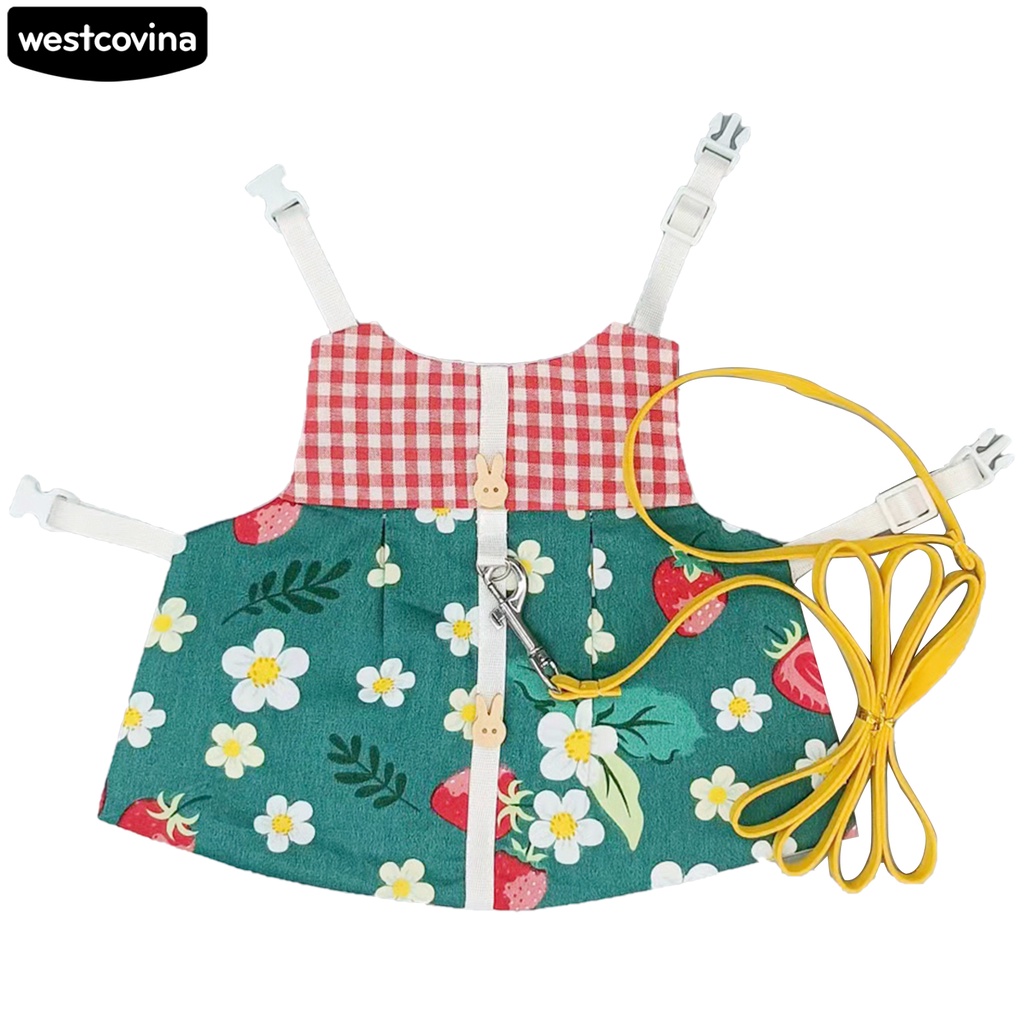 Dây dắt thỏ đi dạo màu sắc rực rỡ