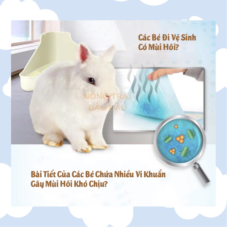 Dung Dịch Uống Khử Mùi Hôi Cho Thỏ, Bọ Ú, Chinchilla, Hamster DRBUNNY 50ml - DR353