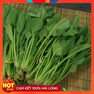 Hạt Giống Rau Chân vịt ( bina) gói 20 gram