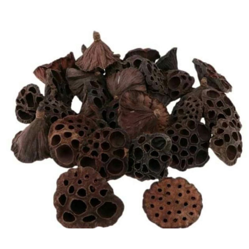 Đài hoa sen khô tự nhiên trang trí decor