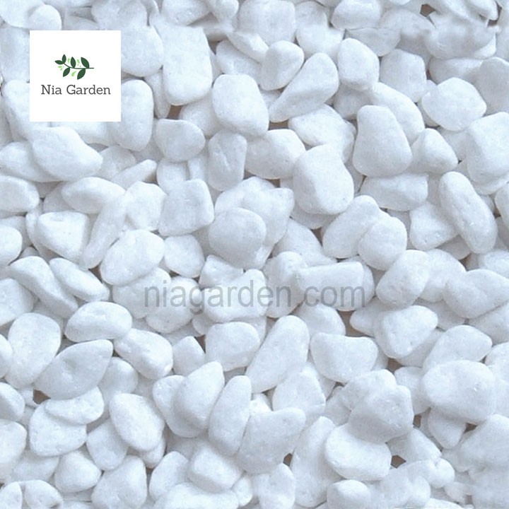 Sỏi trắng size 5 - 8mm trang trí chậu cây cảnh, terrarium, hồ cá, xương rồng Nia Garden N6