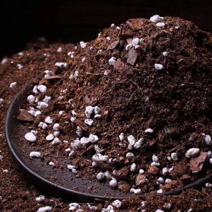 1KG ĐẤT TRỒNG CHUYÊN DỤNG CÂY CẢNH - ĐẤT TRỒNG HƯƠNG THẢO, DÂU TÂY, BẠC HÀ,... ĐỦ CHẤT DINH DƯỠNG